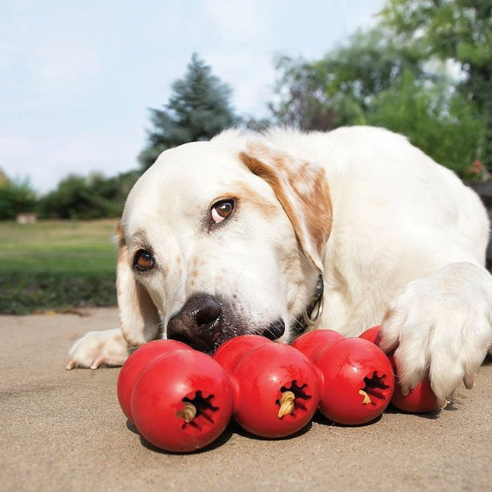 Kong Dog Goodie Ribbon M
