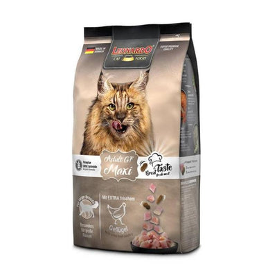 Leonardo Maxi GF Gatos