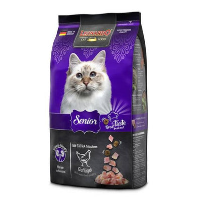 Leonardo Gato Senior