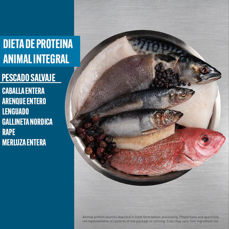 Orijen Six Fish Gatos 1.8K