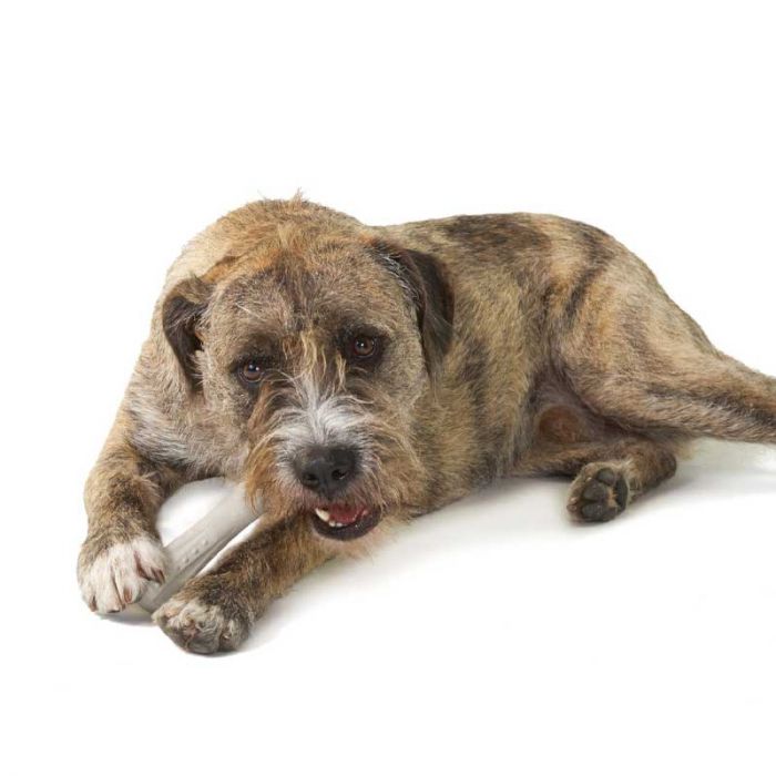 Petstages Asta de Ciervo M para Perros