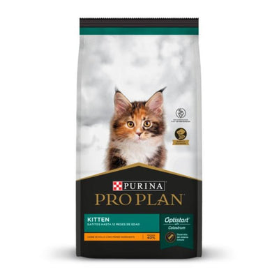 Pro Plan Kitten