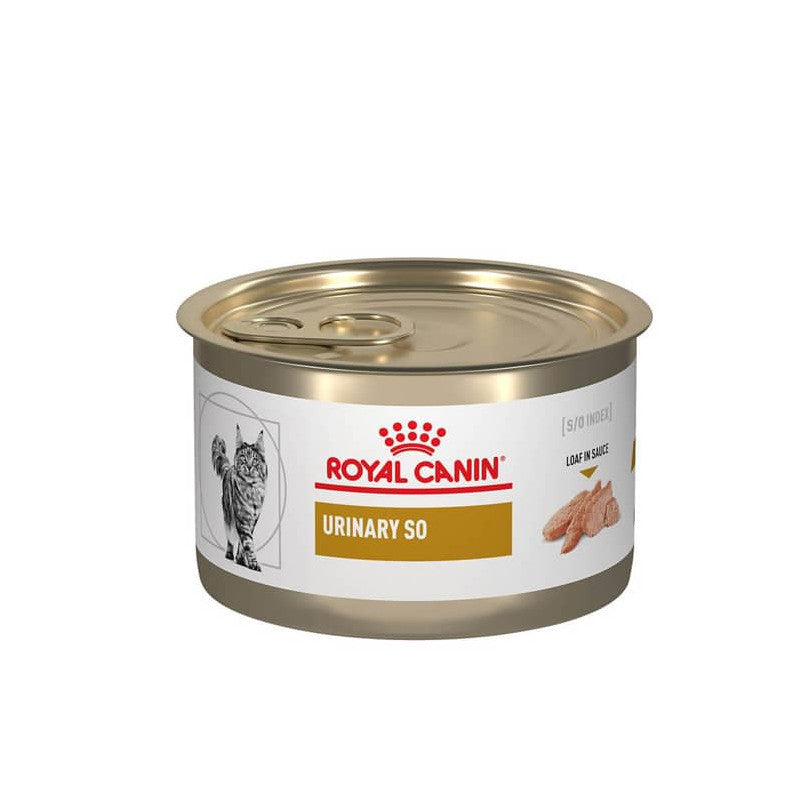 Royal Canin Lata Gato Urinary S/O 145g