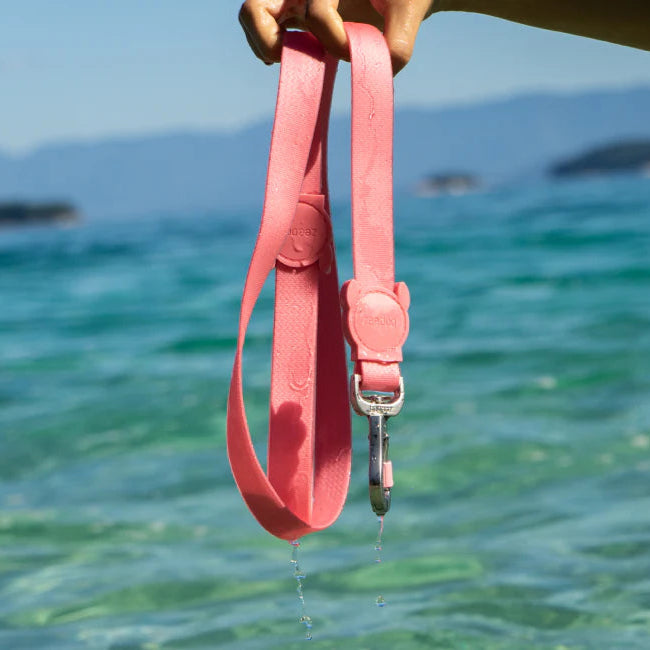 Zee Dog Neopro Bubblegum Leash S