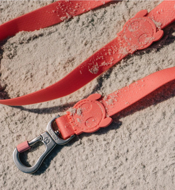 Zee Dog Neopro Bubblegum Leash S