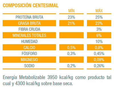 Vitalcan Therapy Gato Renal Care 2K