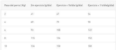 Royal Canin Perro X-Small