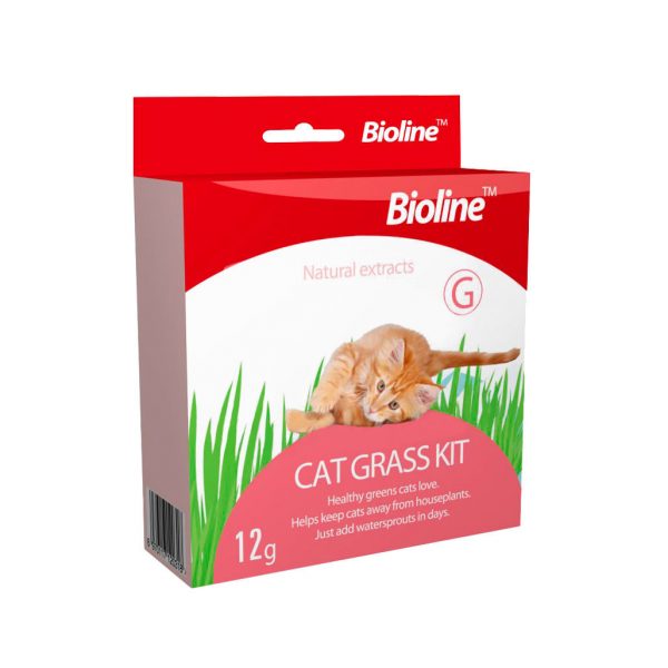 Bioline Cat Grass Kit Gatos