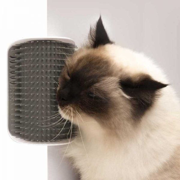 Masajeador De Pared Catit Senses 2.0