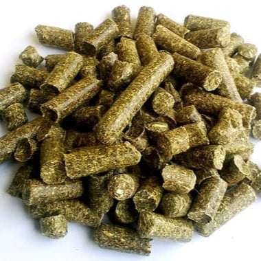 Pellet Mantención Conejo y Cuyi