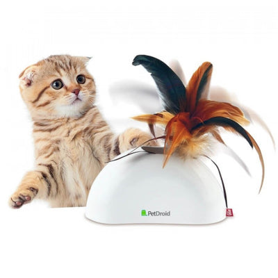 Gigwi Feather Hider Gato