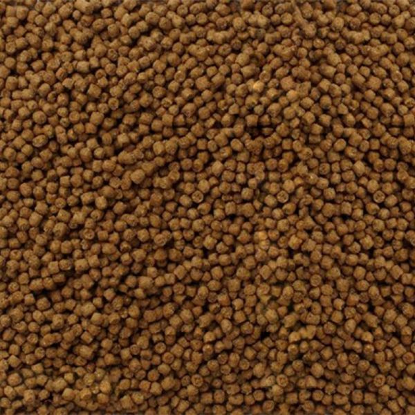 Mazuri Erizo de Tierra