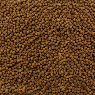 Mazuri Erizo de Tierra