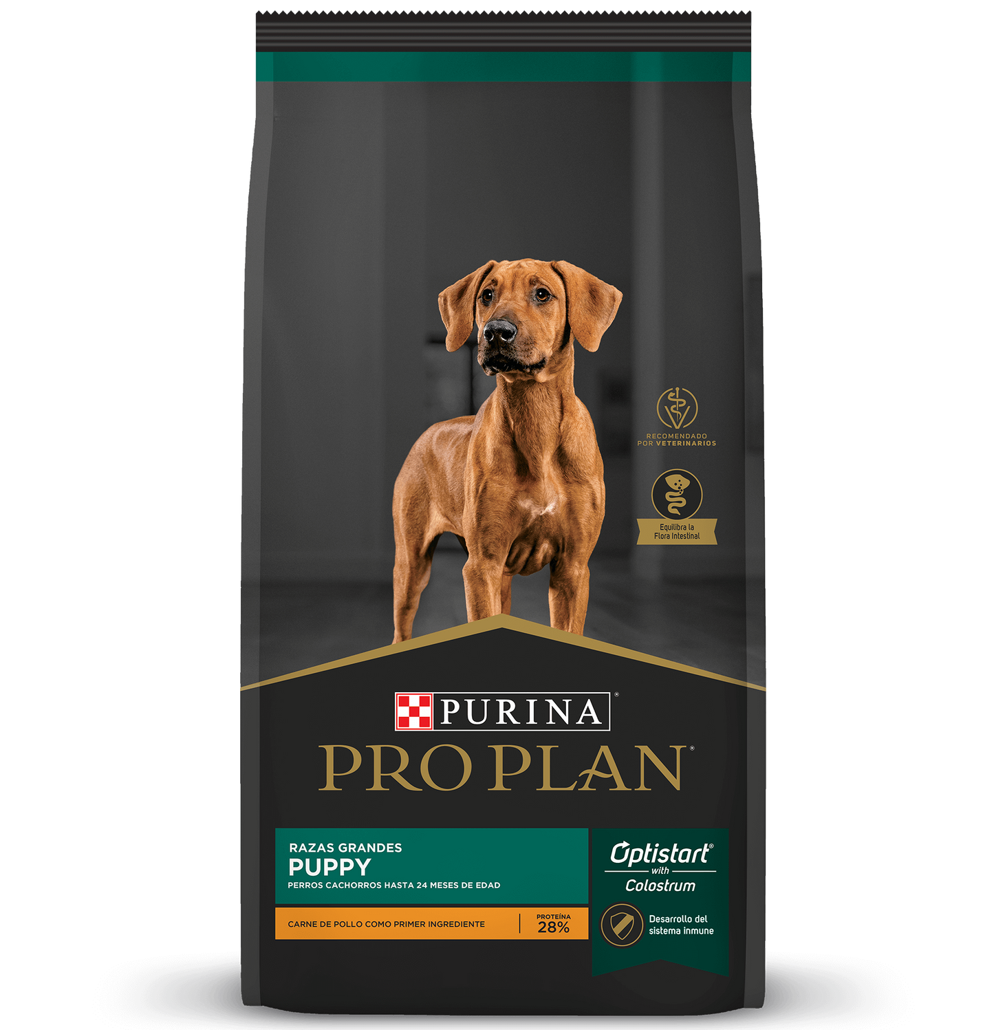 PRO PLAN Cachorros Razas Grandes 15kg