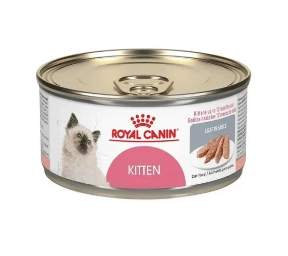 Royal Canin Lata Kitten 145g