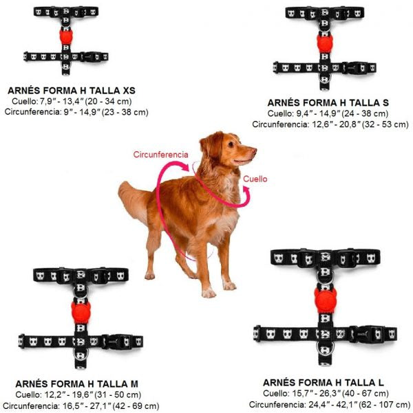 Zee Dog Fritz H-harness