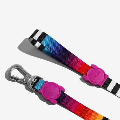 Zee Dog Prisma Leash