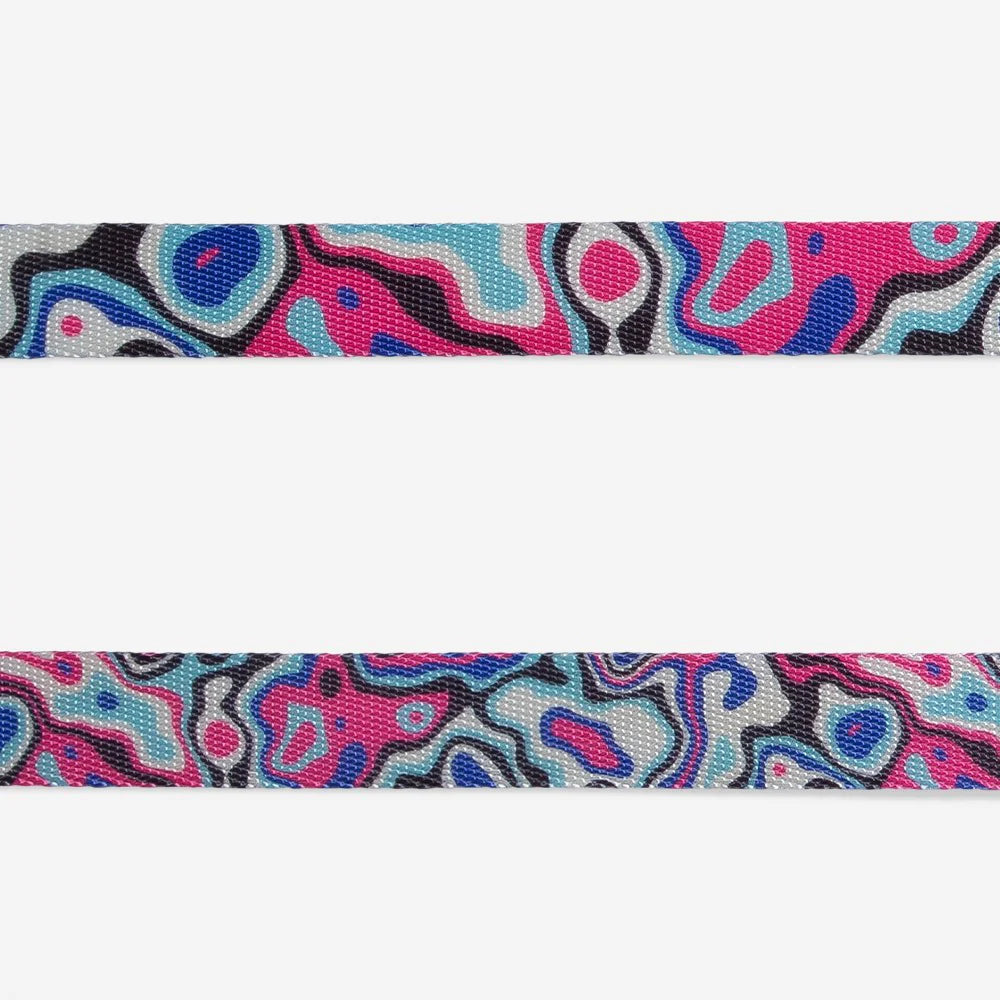 Zee Dog Blast Leash