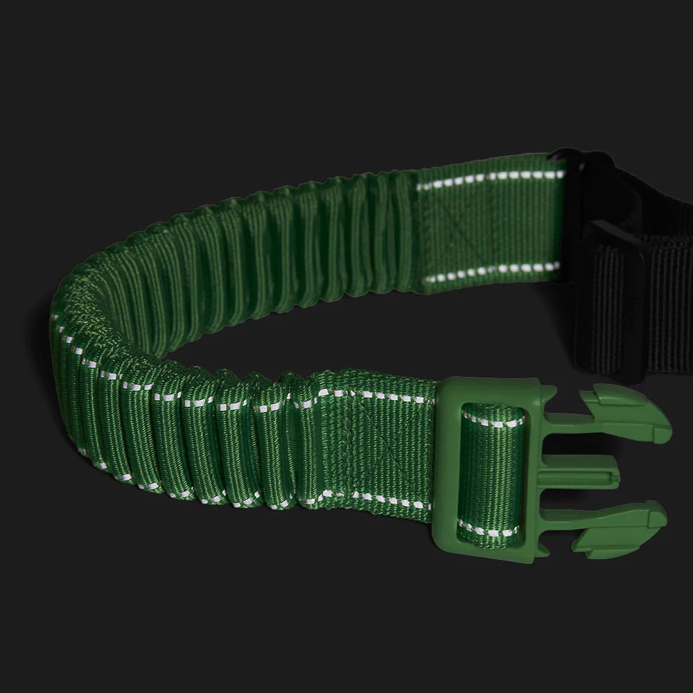 Zee Dog Running Belt