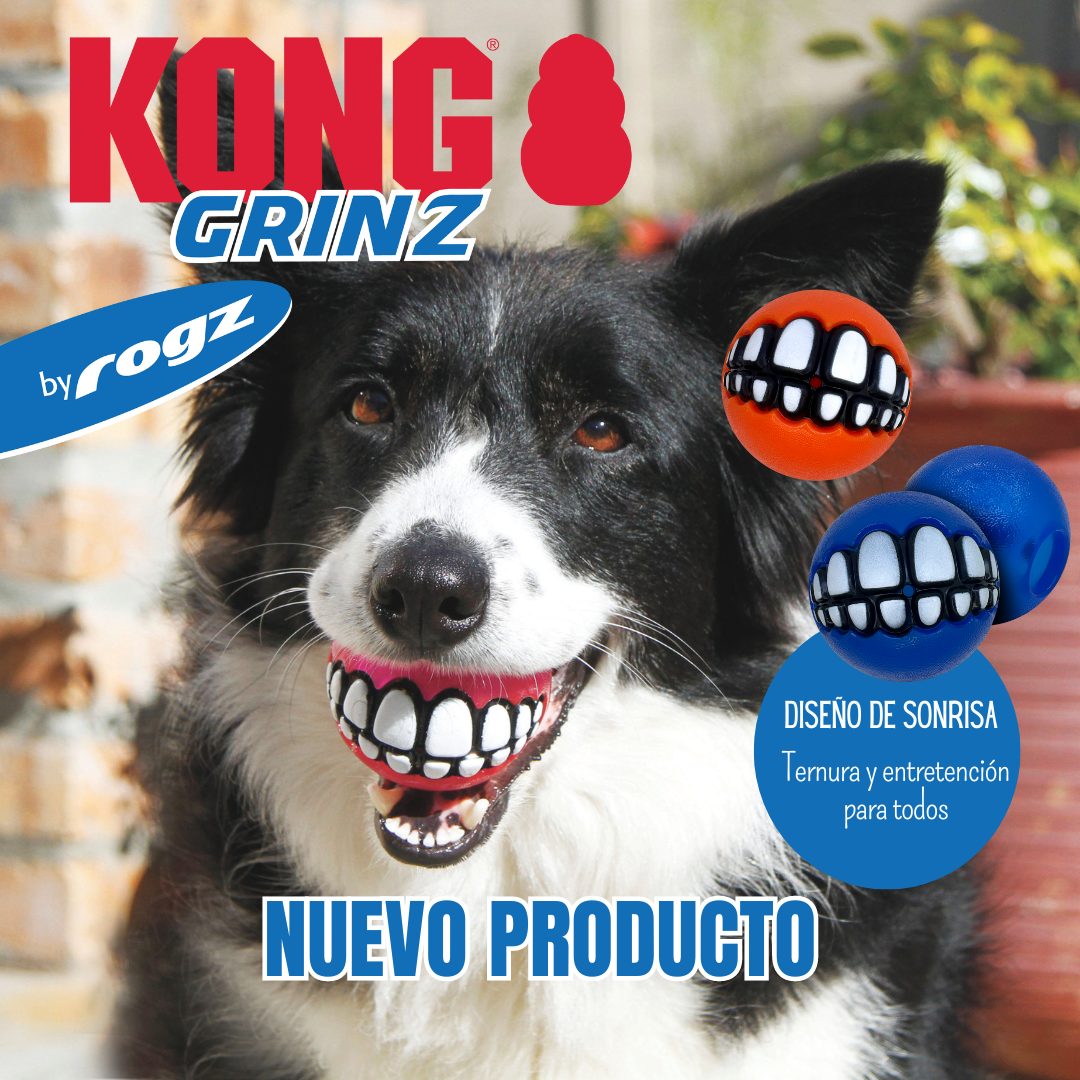 Kong Dog Grinz Balls 3X M