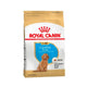 Royal Canin Perro Poodle Puppy