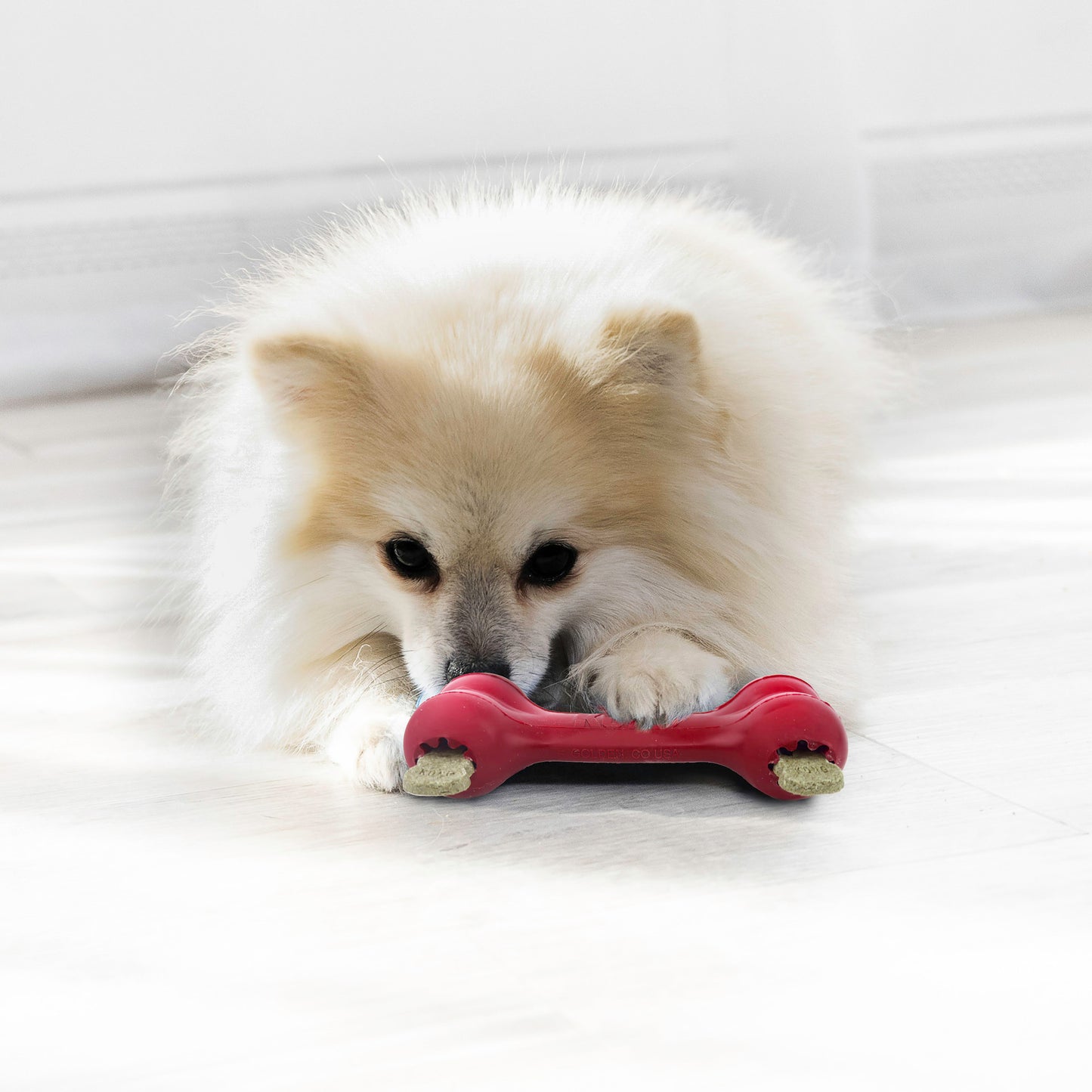 Kong Dog Goodie Bone S