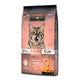 Leonardo Adult Salmon GF Gatos