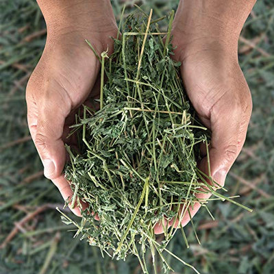 Pack 5x4 Heno de Alfalfa 800gr