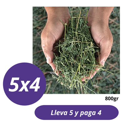 Pack 5x4 Heno de Alfalfa 800gr