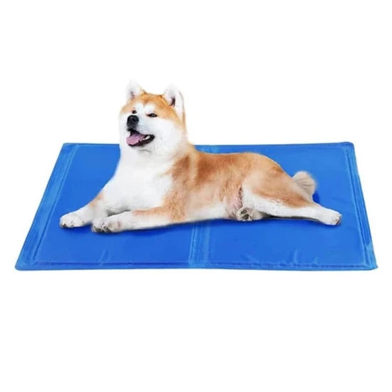 Manta Refrescante con Diseño XL 96x80CM Perros y Gatos
