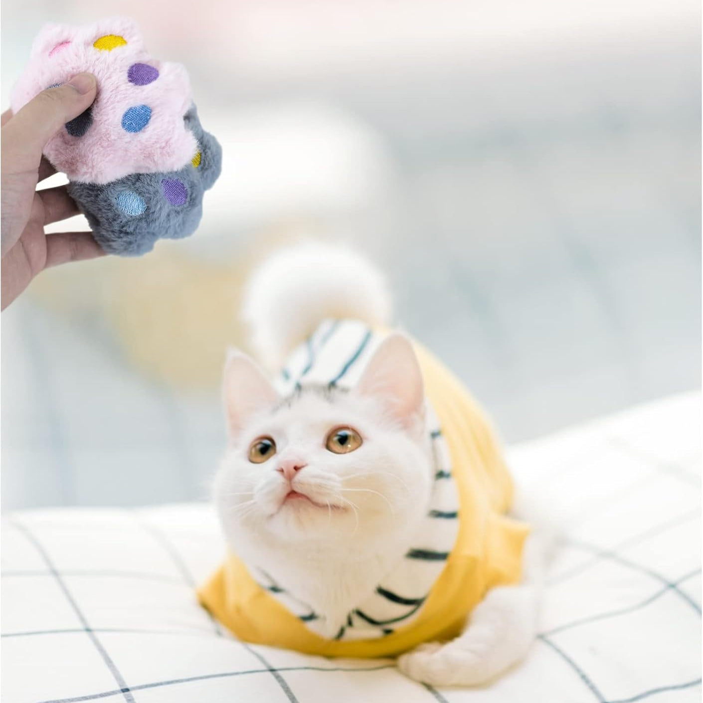 Juguete Peluche de Huella Gatos