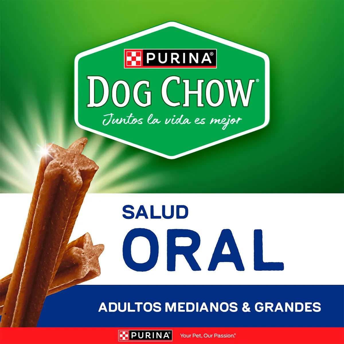 PURINA® DOG CHOW®  Salud Oral Adultos Medianos y Grandes