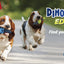 Gigwi DinoBall Edge M Perros
