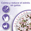 Beaphar Collar Calming Obroza Gatos 35cm