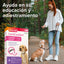Beaphar CaniComfort Collar Perro Puppy 45cm