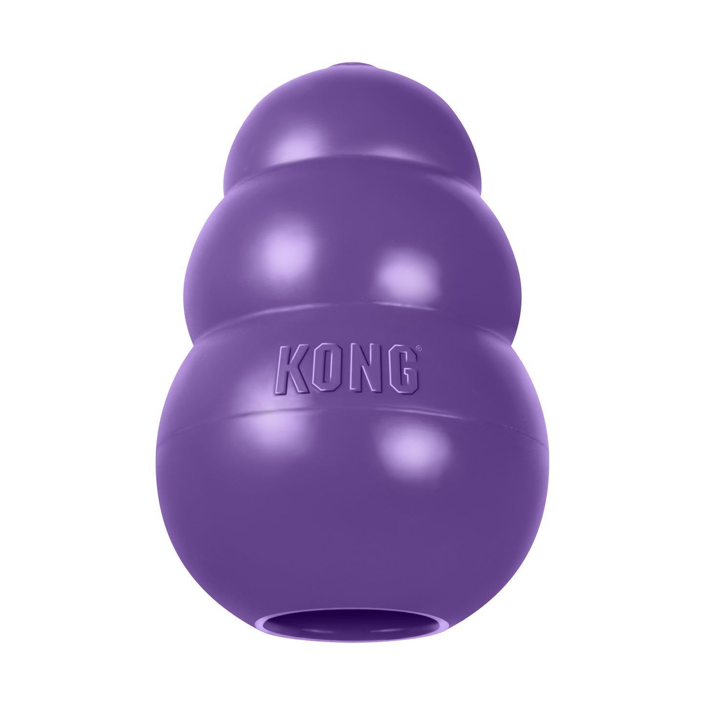 Kong Dog Senior S