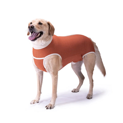 Body Cobre Castracion para Perros