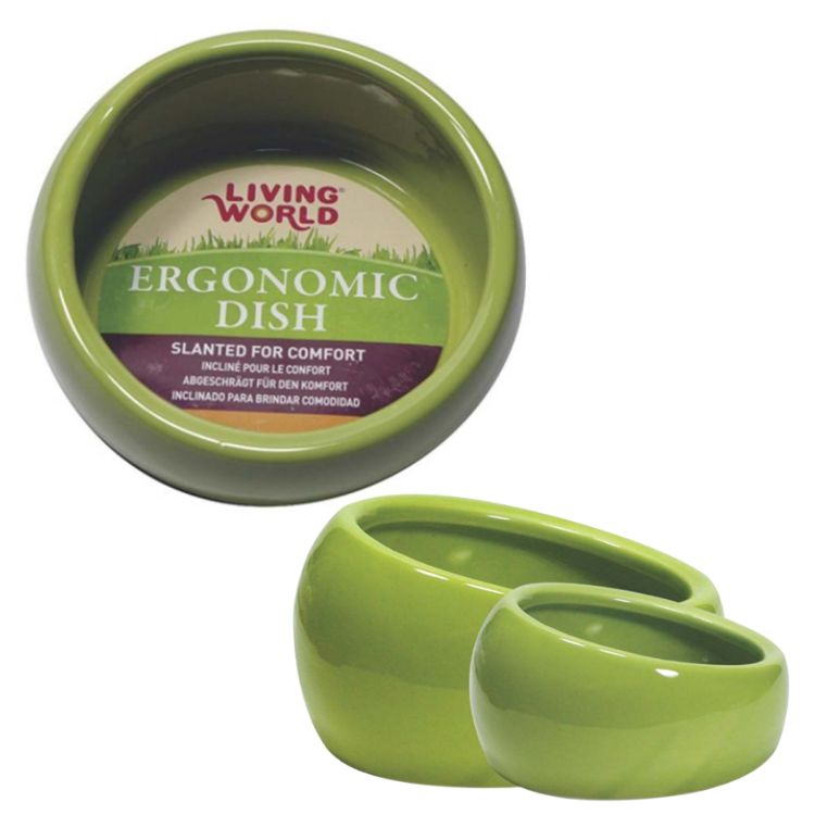 Living World Comedero Ergonómico S