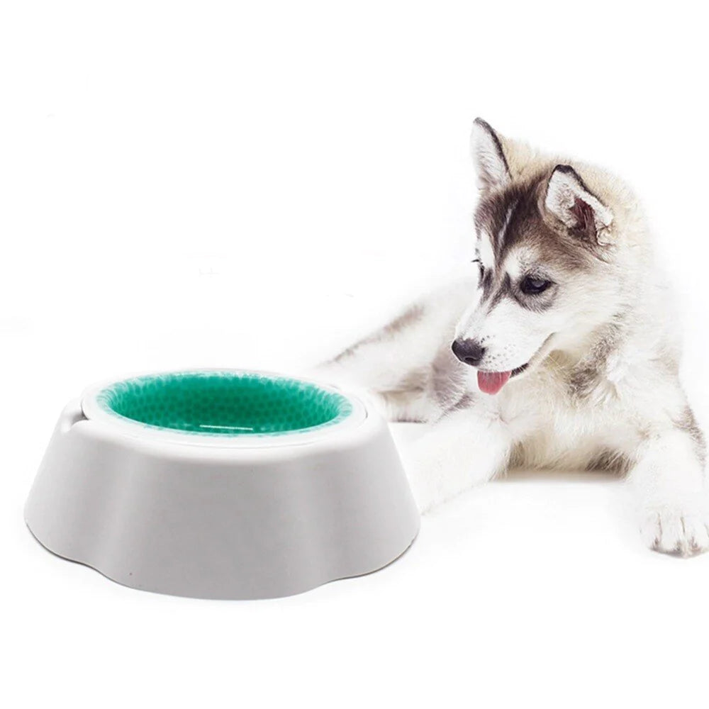Plato Refrescante para Perros y Gatos