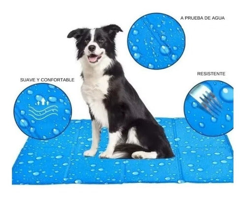 Manta Refrescante con Diseño XL 96x80CM Perros y Gatos