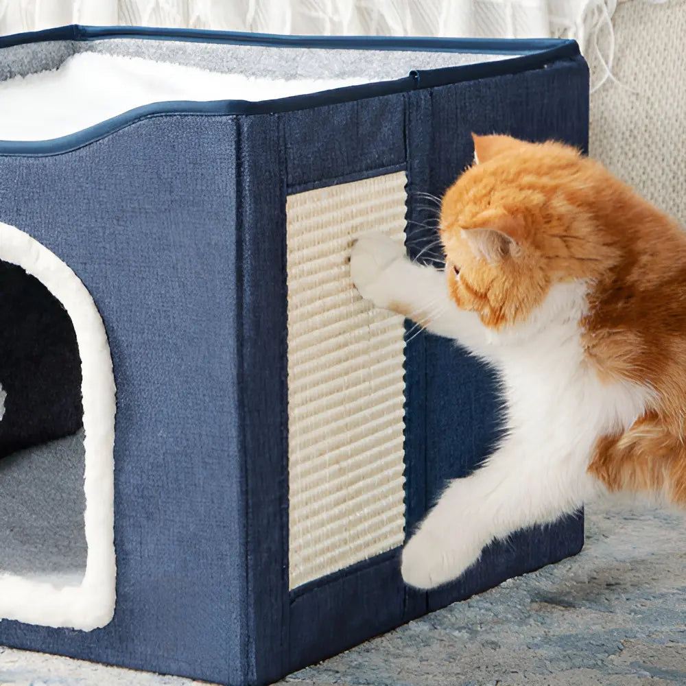 Wonder Cat Cubo Felino Ingreso Frontal