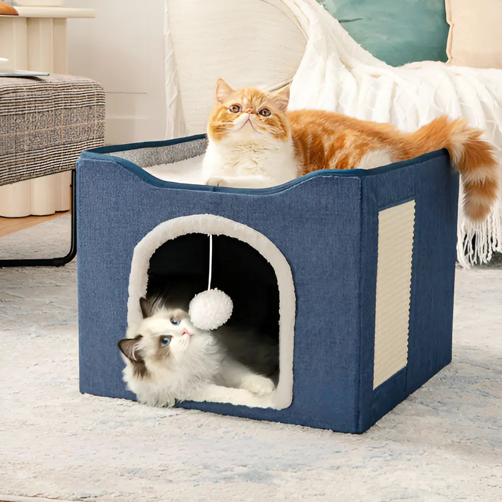 Wonder Cat Cubo Felino Ingreso Frontal