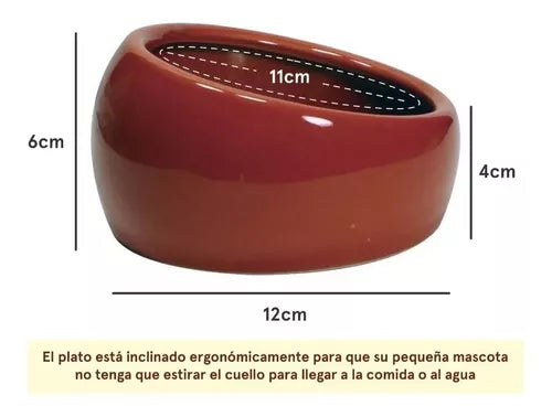 Living World Comedero Ergonómico L