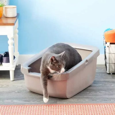 Catit Baño Sanitario con Borde Grueso Gris Claro