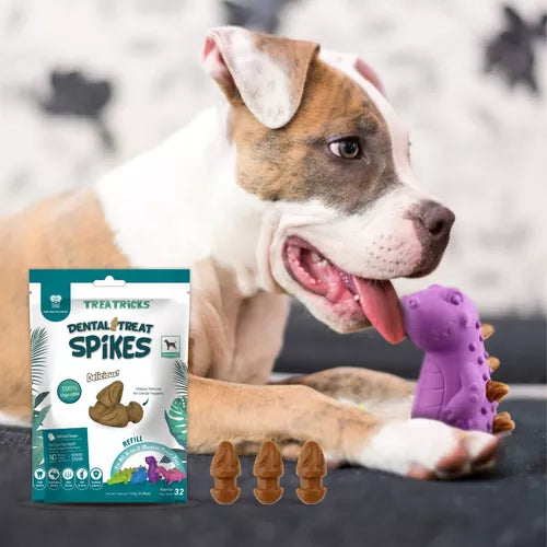 Snack Dental Treats Spikes Refill – Pollo