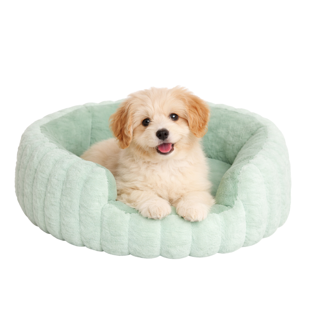 Wonder Dog Cama Hexagonal Ultra Suave Perros M