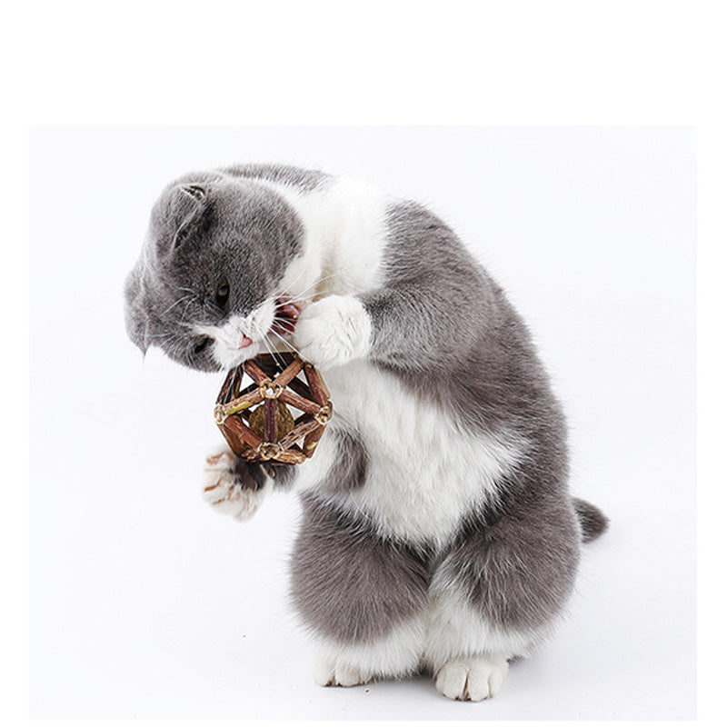 Wonder Cat Bola de Catnip en Jaula de Dental Stick 7cm
