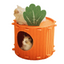 Marben Pets Casa Zanahoria Gatos