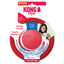 Kong Dog Flyer S