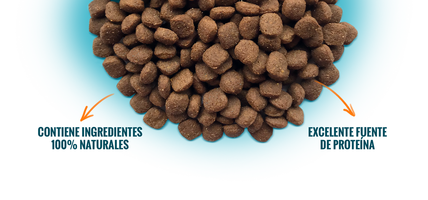 Nomade Perro Cachorro Todas las Razas 10Kg